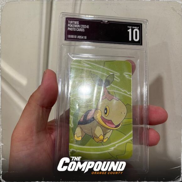 Pokemon - Turtwig Photo Card - Top Shelf 10 - Picture 3 of 3